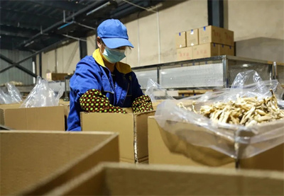 玉屏 市場需求旺，菌棒生產(chǎn)忙，食品互聯(lián)網(wǎng)銷售助農(nóng)增收