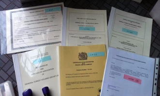 代辦互聯(lián)網(wǎng)金融公司、一次性醫(yī)療器械、保健食品代理記賬及食品互聯(lián)網(wǎng)銷售財(cái)稅合規(guī)指引