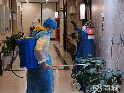 專業(yè)保潔服務(wù) 從美縫除醛到衣櫥整理，全方位守護(hù)家居健康